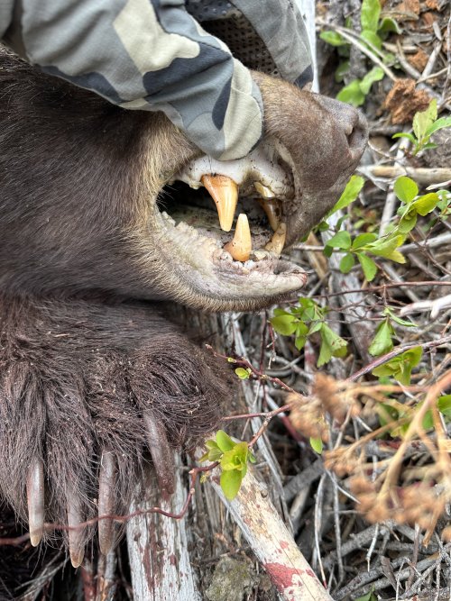 IMG_6719.jpeg IMG_6719.jpeg