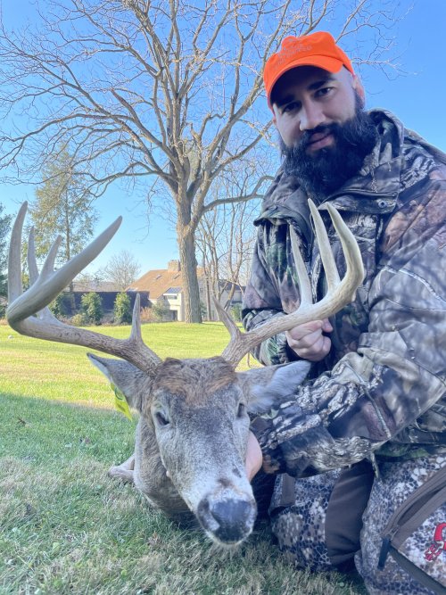 1762517179626.jpeg 1762517179626.jpeg