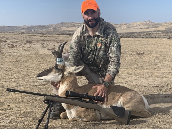 1762517266730.jpeg 1762517266730.jpeg