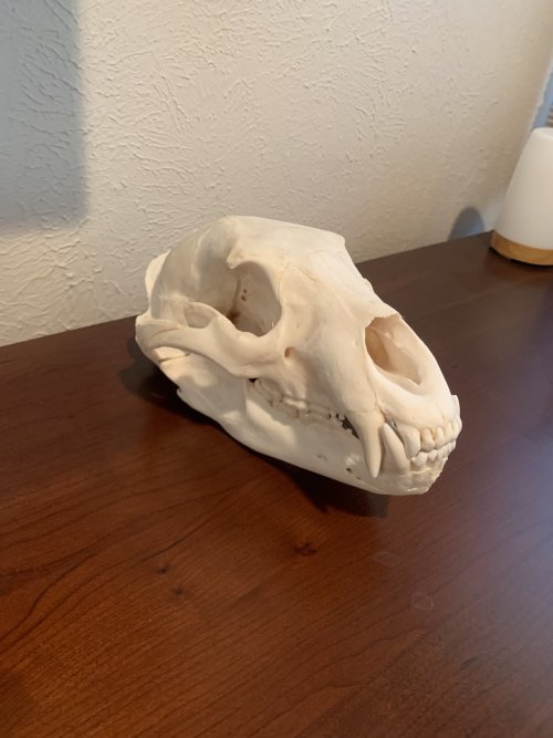 IMG_6589.jpeg IMG_6589.jpeg