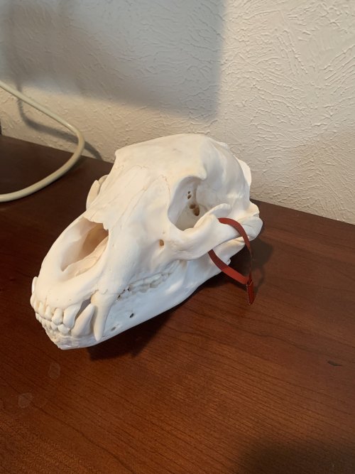 IMG_6591.jpeg IMG_6591.jpeg