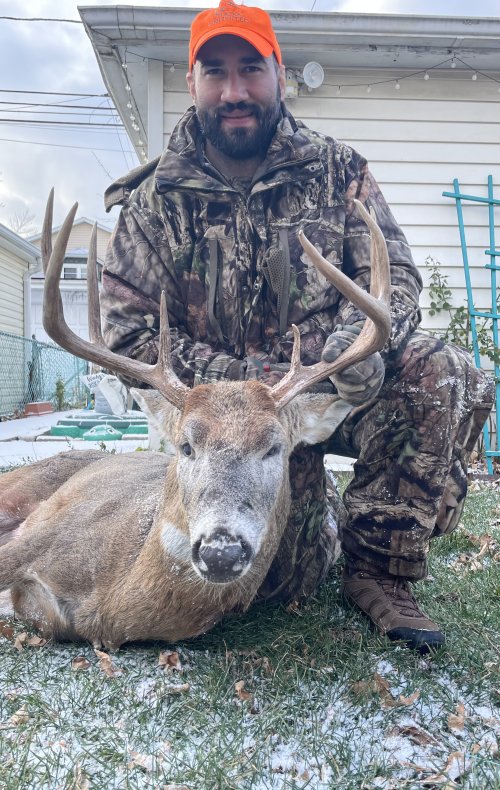 IMG_9608.jpeg IMG_9608.jpeg