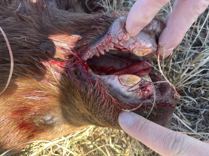 IMG_7839.jpeg IMG_7839.jpeg