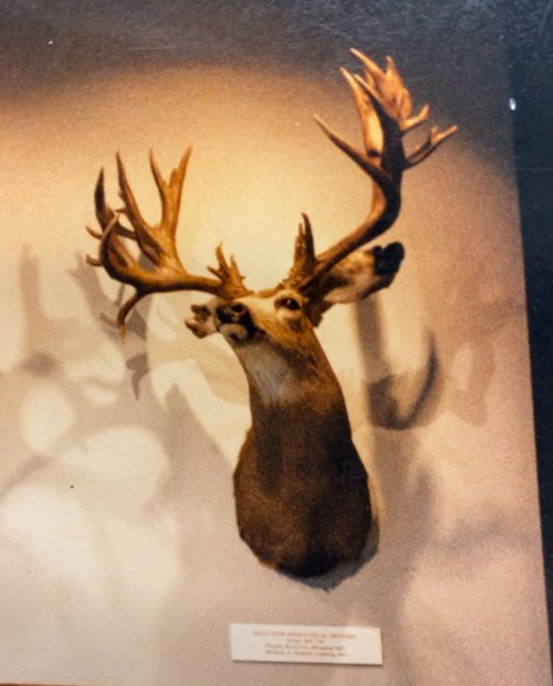 IMG_7178.jpeg IMG_7178.jpeg