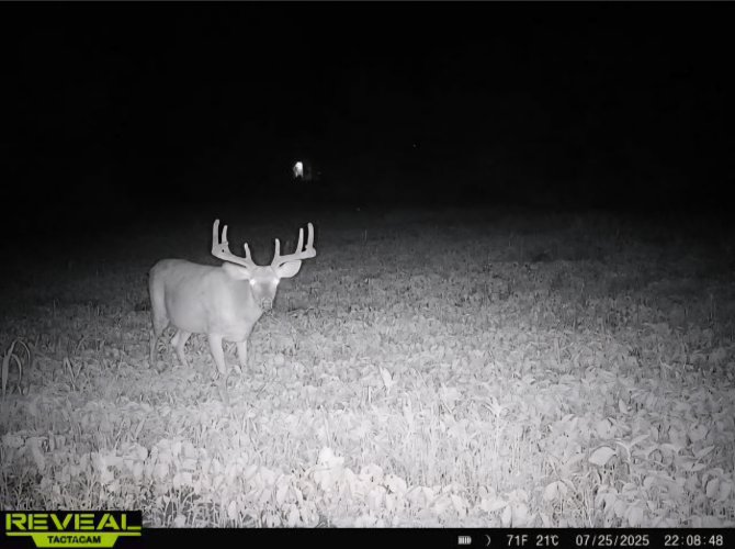 Screenshot_20250726_100441_Gallery.jpg Screenshot_20250726_100441_Gallery.jpg