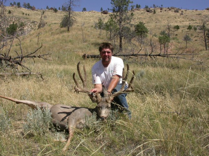 art's deer 2.jpg