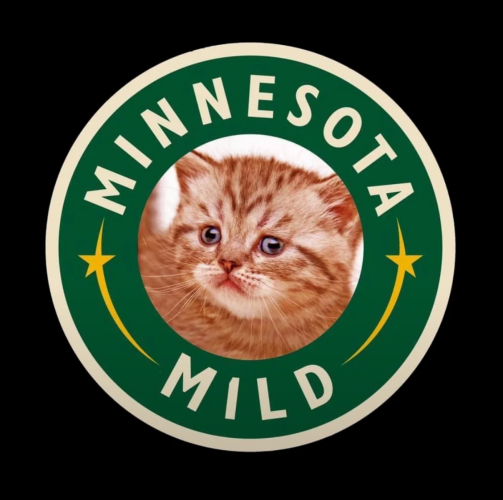 1762529561585.png