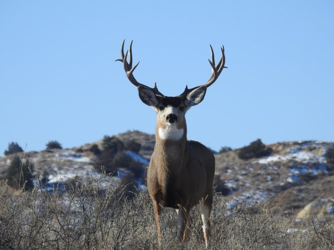 DSCN2414.JPG DSCN2414.JPG