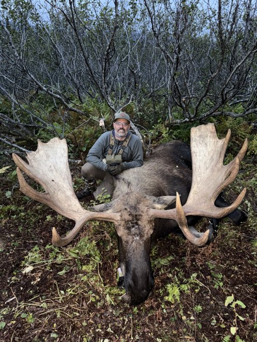 IMG_4708.jpg IMG_4708.jpg