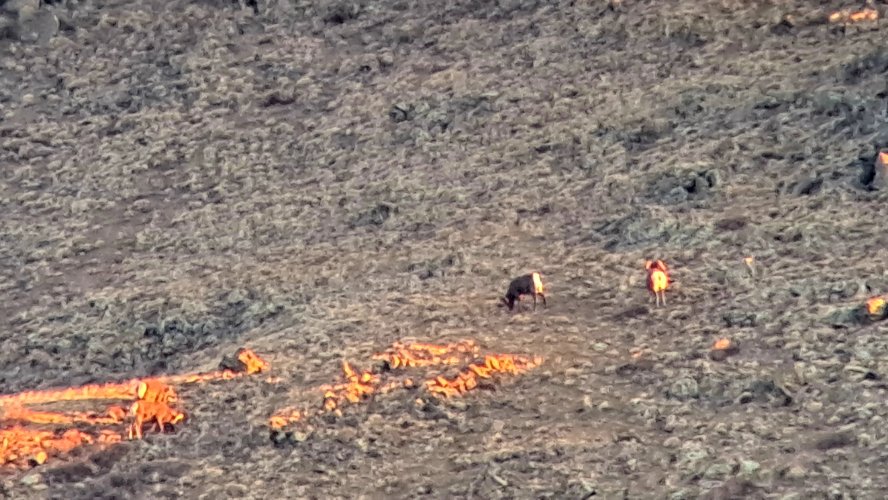 1000010341.jpg 1000010341.jpg