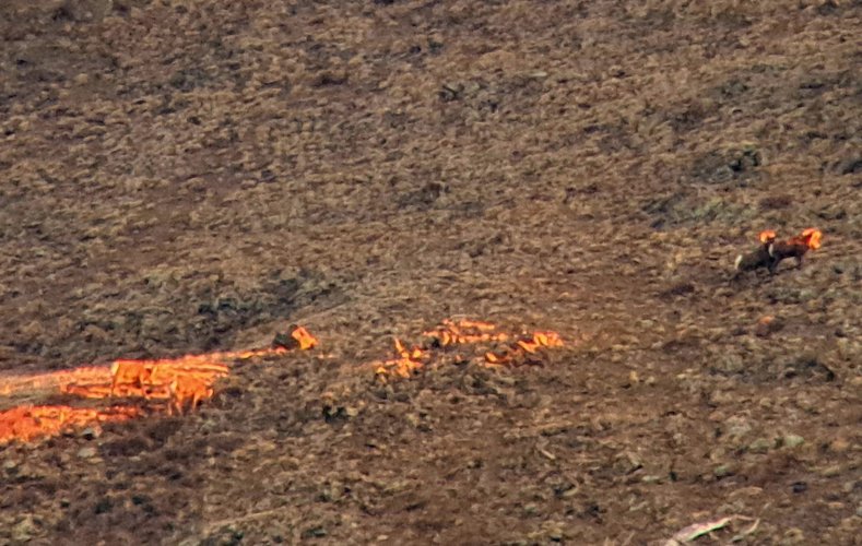 1000010335.jpg 1000010335.jpg