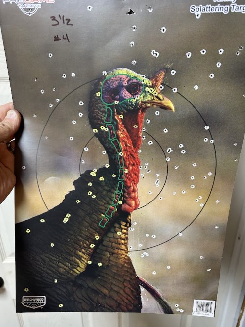 IMG_1207.JPG IMG_1207.JPG