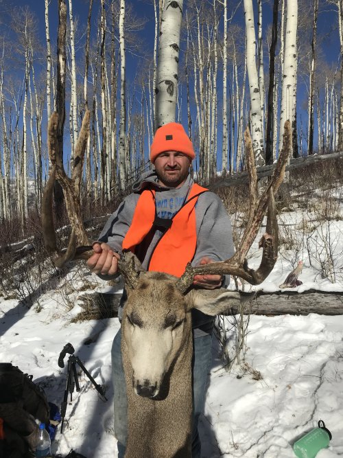 IMG_1469.jpeg