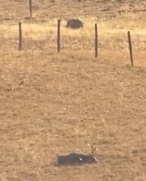 IMG_8006.jpeg IMG_8006.jpeg