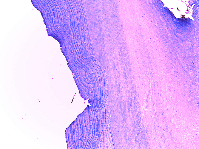 1762553396898.png 1762553396898.png