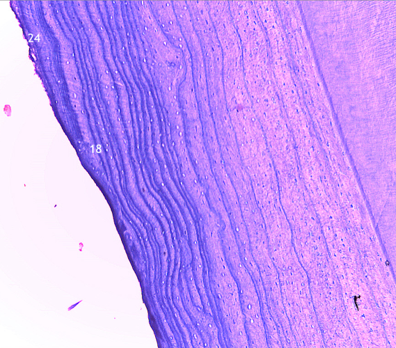 1762553424806.png 1762553424806.png