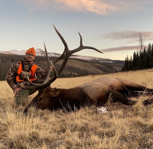 IMG_7134.jpeg IMG_7134.jpeg