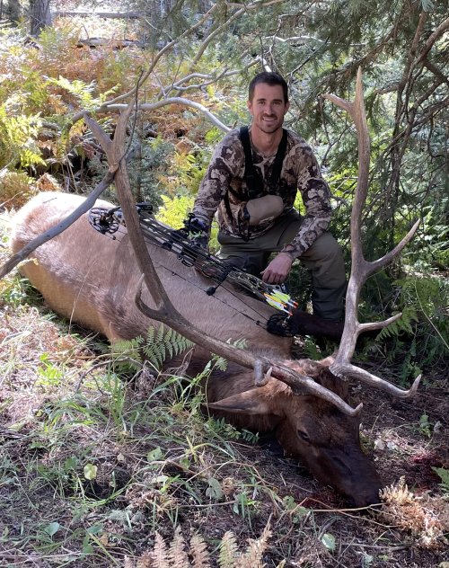 IMG_9953.jpeg IMG_9953.jpeg