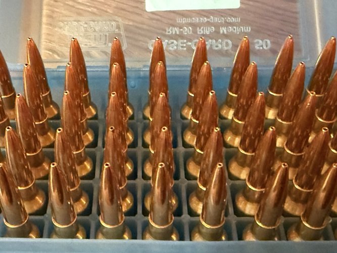 IMG_2282.jpeg IMG_2282.jpeg