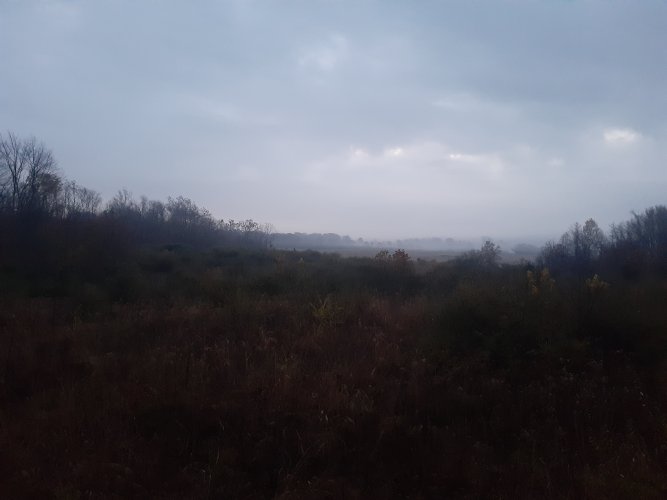 20251108_070909.jpg