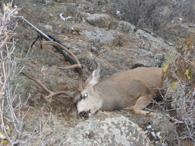 DSCN1119 copy.jpg DSCN1119 copy.jpg