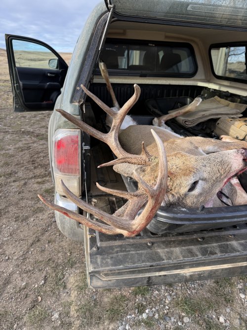 IMG_4862.jpeg IMG_4862.jpeg