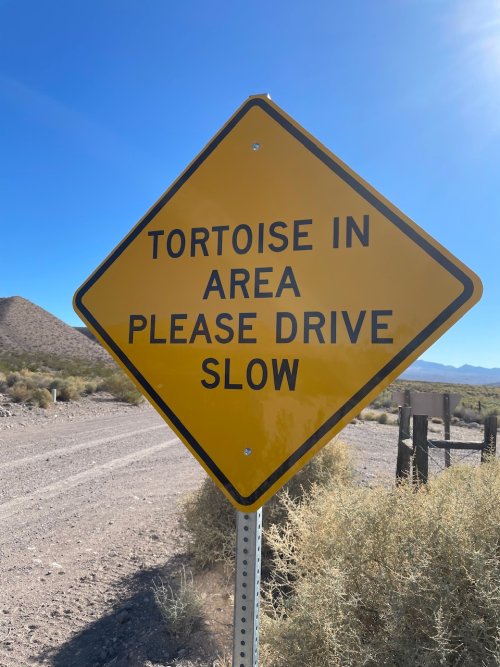 IMG_4498.jpeg IMG_4498.jpeg