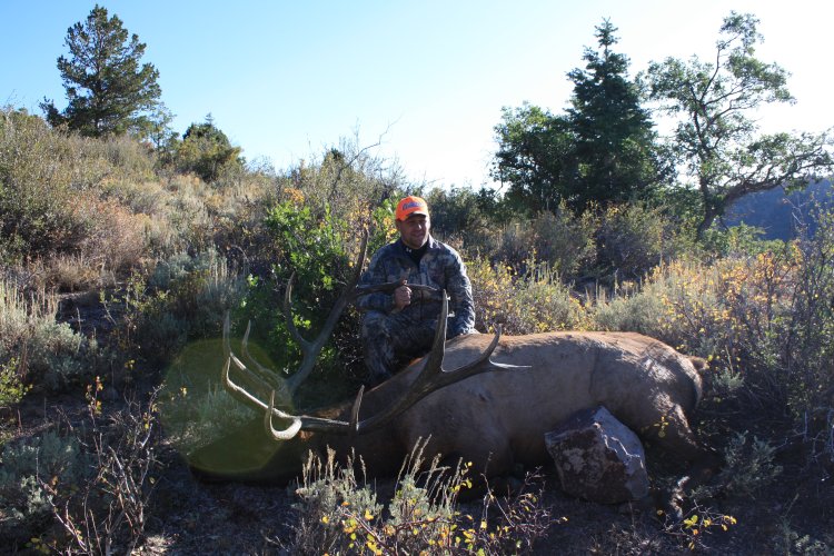 1762638371417.jpeg 1762638371417.jpeg