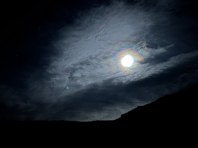 IMG_3532.jpeg IMG_3532.jpeg