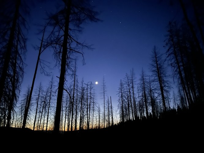 IMG_3441.jpeg IMG_3441.jpeg