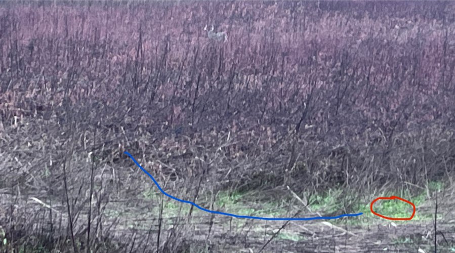 IMG_2039.jpeg IMG_2039.jpeg