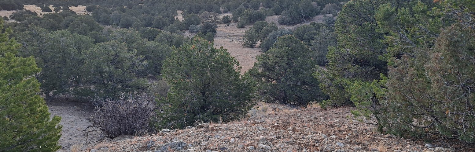 1000010448.jpg 1000010448.jpg