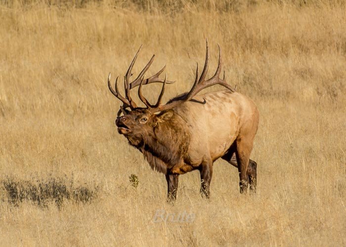 September 2016-1063.jpg