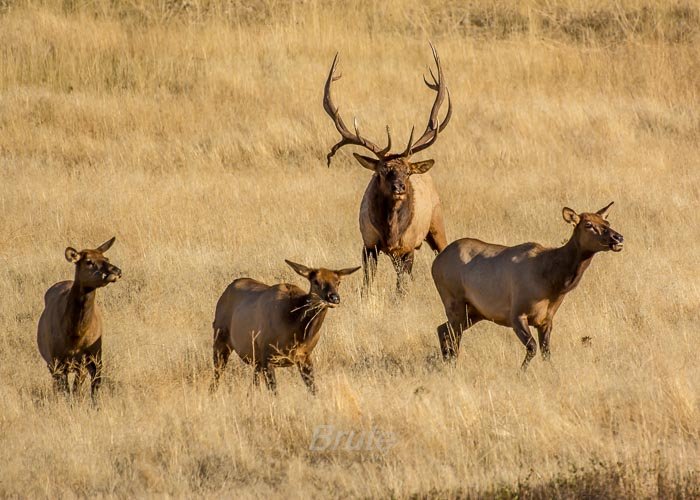 September 2016-1067.jpg