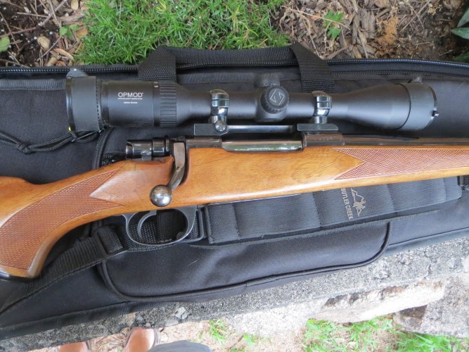 IMG_0768.JPG IMG_0768.JPG