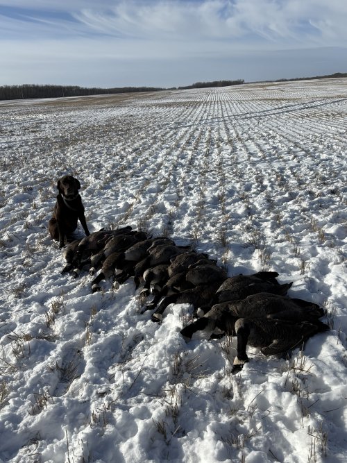 IMG_3855.jpeg IMG_3855.jpeg