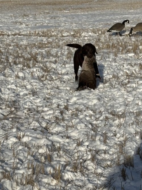 IMG_3854.jpeg IMG_3854.jpeg