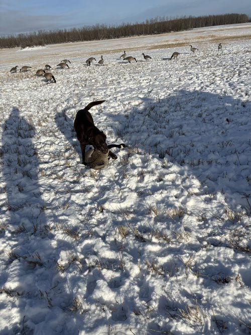 IMG_3853.jpeg IMG_3853.jpeg