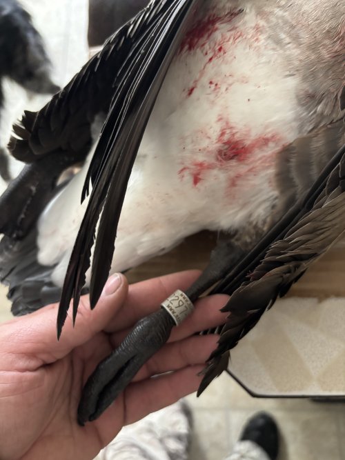 IMG_3856.jpeg IMG_3856.jpeg