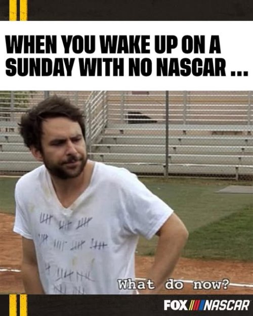 nascar.jpg