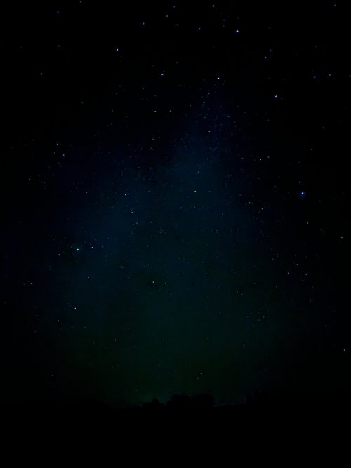IMG_9344.jpeg