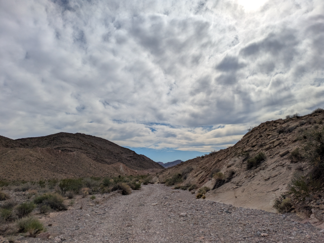 2025_46_desert_shade.png