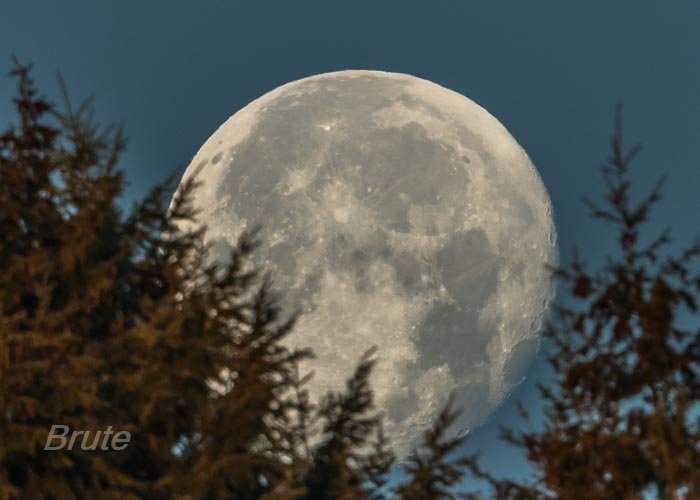 November 2020 a-2665.jpg