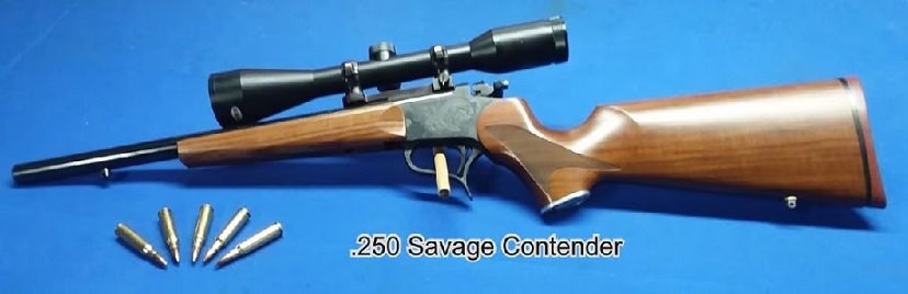 250 3000 Contender.jpg