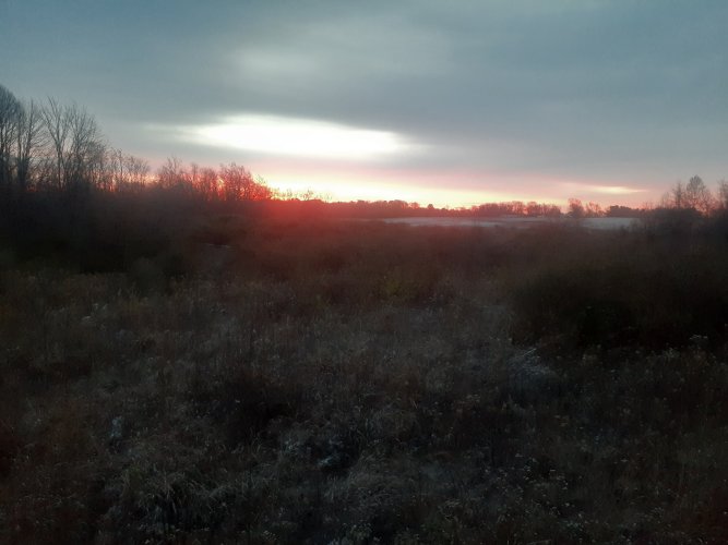 20251111_071707.jpg
