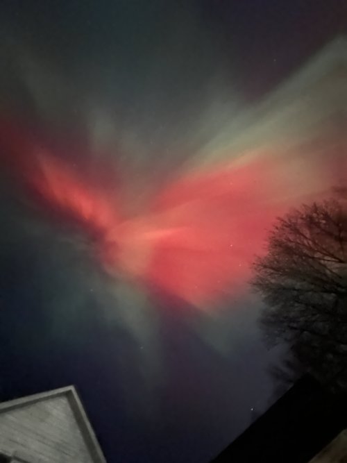 IMG_2264.jpeg