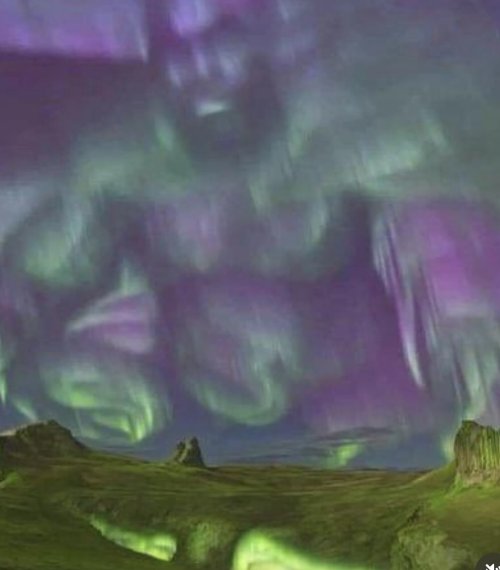 IMG_3577.jpeg IMG_3577.jpeg