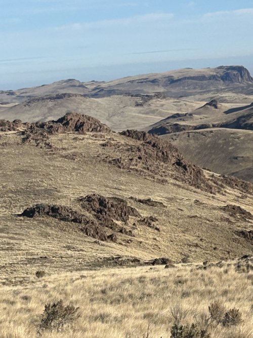 IMG_4269.jpeg IMG_4269.jpeg