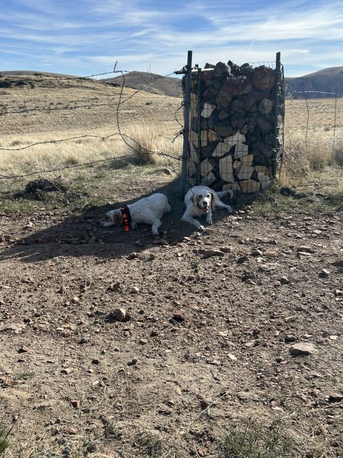 IMG_4276.jpeg IMG_4276.jpeg