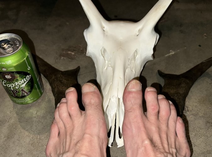 IMG_3583.jpeg IMG_3583.jpeg